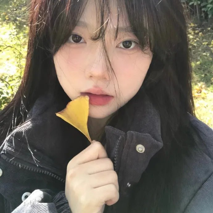 旧金山风物记